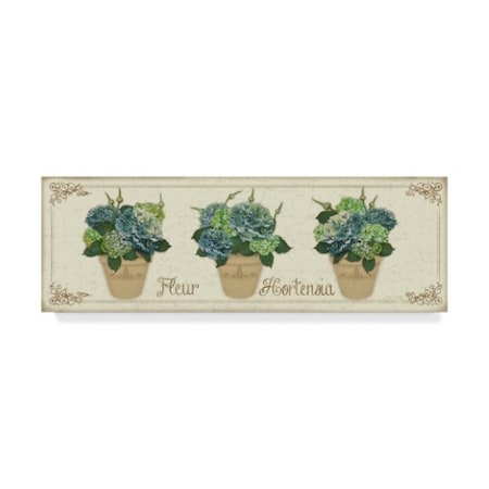 Jean Plout 'Fleur Hortensia 3' Canvas Art,10x32